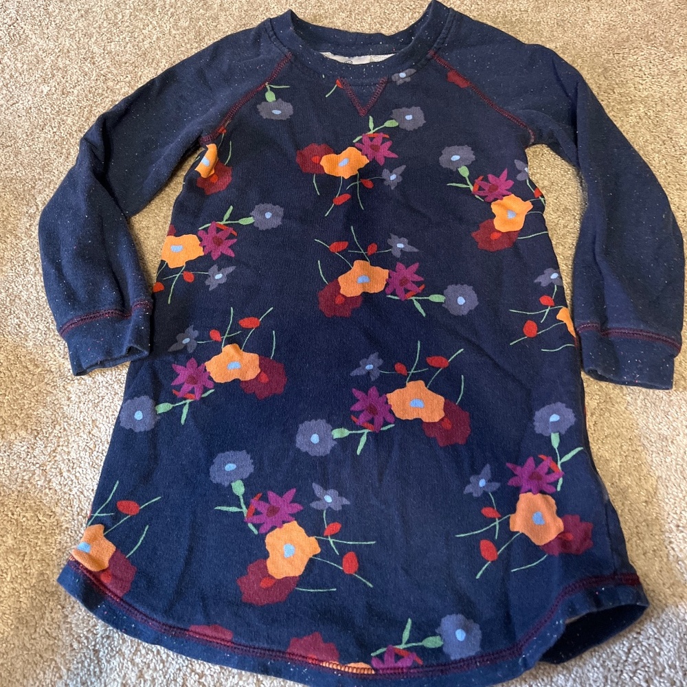 Hanna Andersson size 110 (5) sweatshirt dress